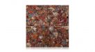 Multicolor Petrified Wood — Плитка из камня — миниатюра