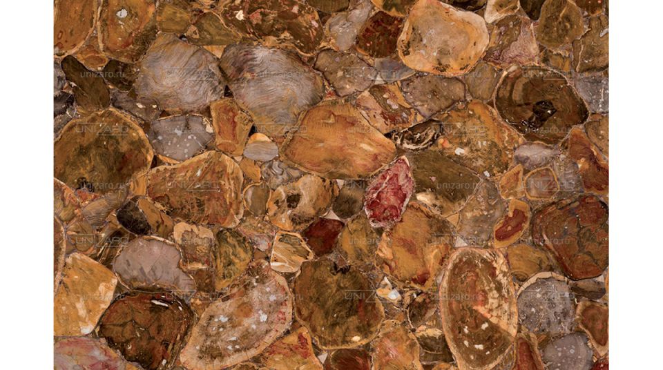 Australian Petrified Wood — Фрагмент