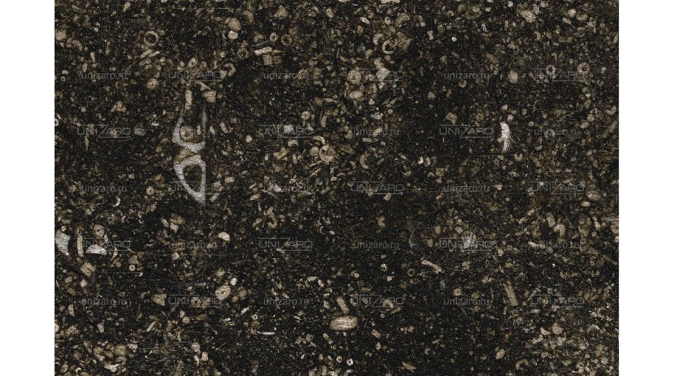 Black Limestone — Фрагмент