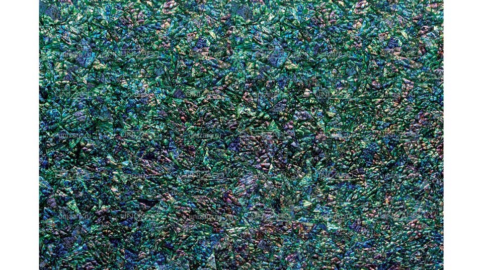 Green Abalone 3d — Фрагмент