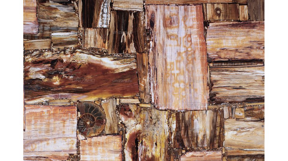 Retro Petrified Wood — Фрагмент