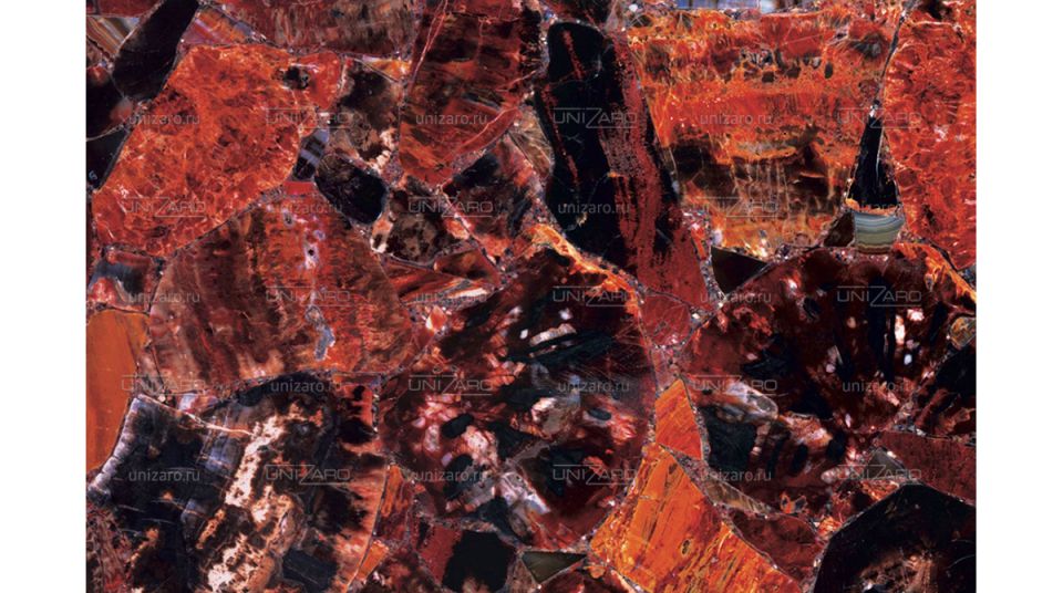 Red Petrified Wood — Фрагмент