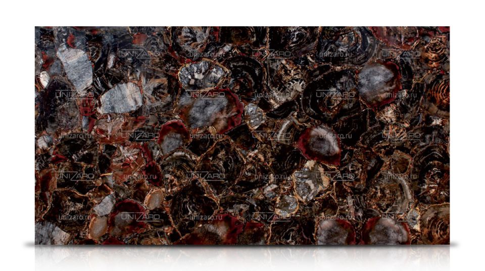 Black Petrified Wood — Слеб