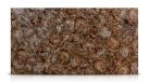 Brown Petrified Wood — Слеб — миниатюра