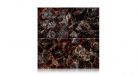 Black Petrified Wood — Плитка из камня — миниатюра