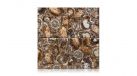 Petrified Wood — Плитка из камня — миниатюра