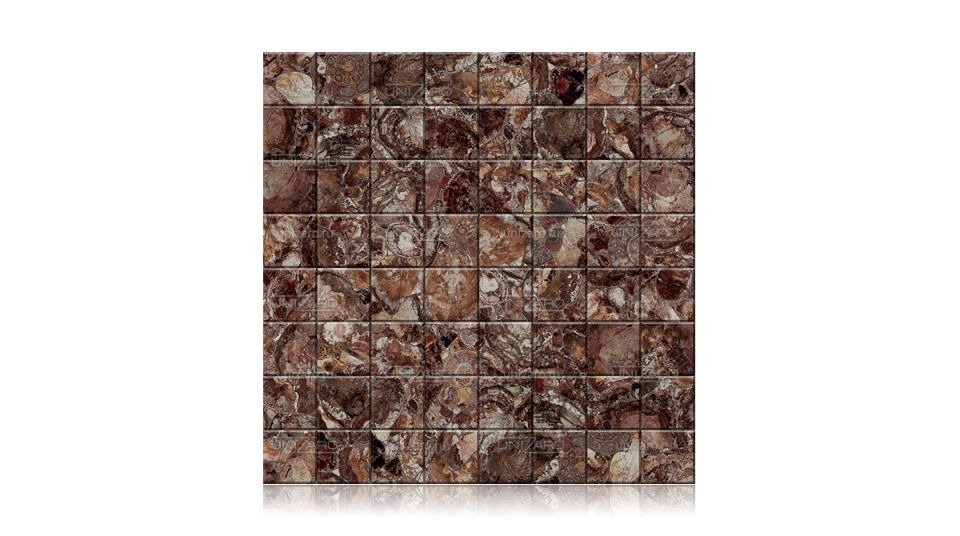 Brown Petrified Wood — Мозаика из камня