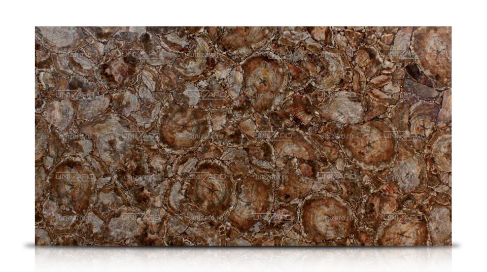 Brown Petrified Wood — Слеб