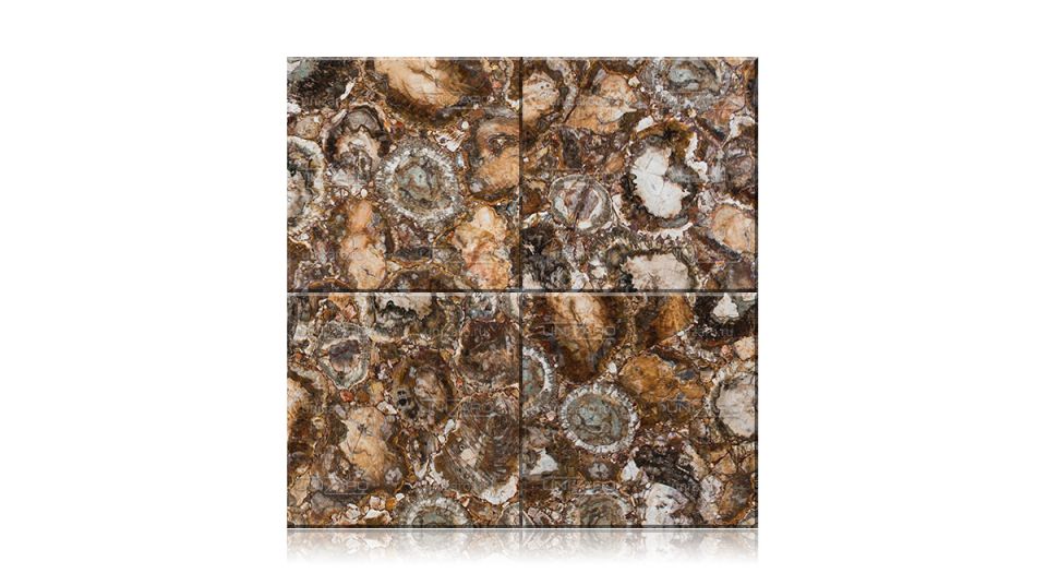 Petrified Wood — Плитка из камня
