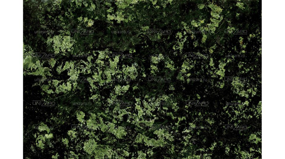 Green Bowenite Dark — Фрагмент
