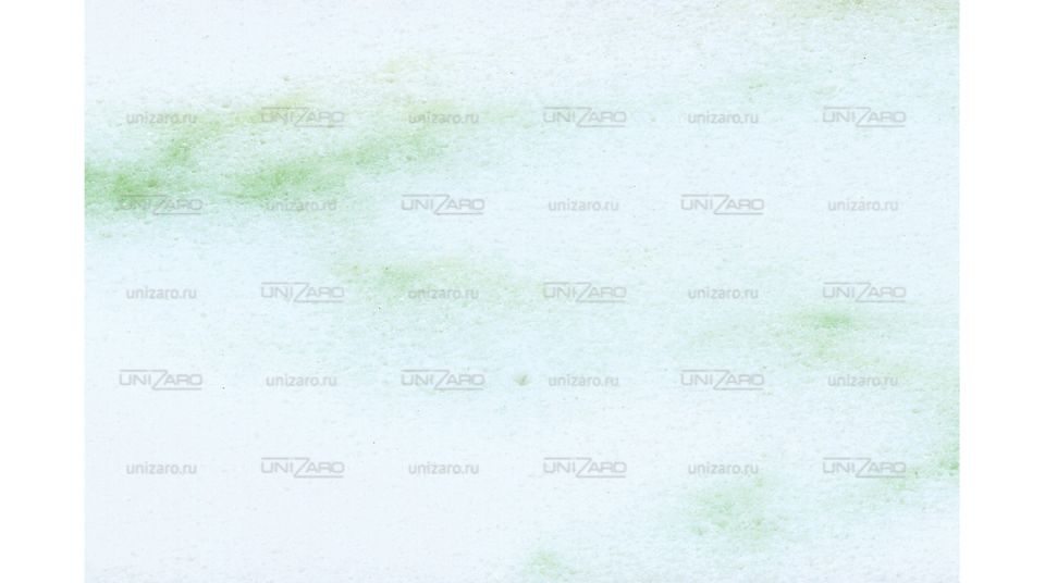 Bianco Verde — Фрагмент